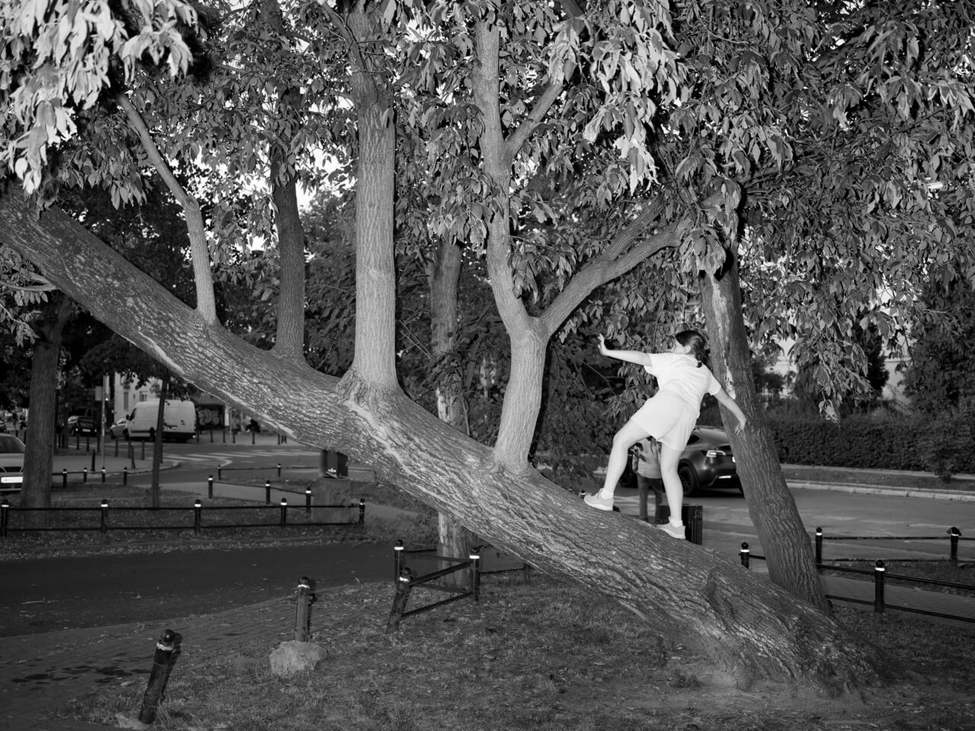  Młoda dziewczyna wspinająca się na pochylone drzewo. Ujęcie 2. 