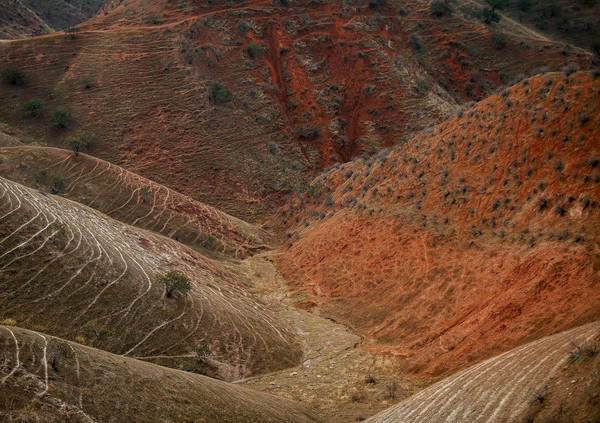 Steppe hills painted in orange , red and brown colors